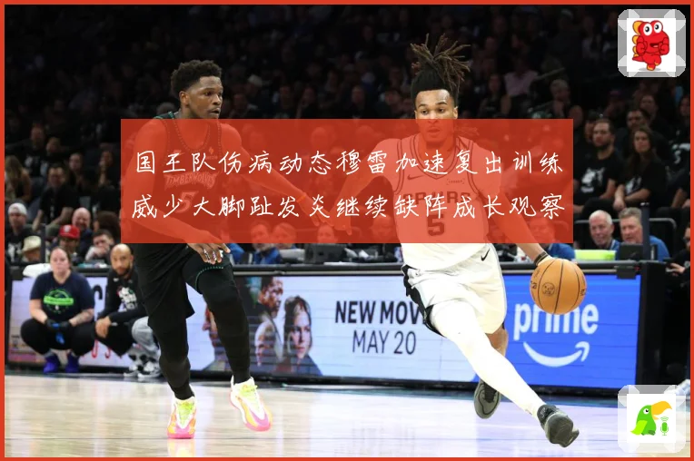 国王队伤病动态穆雷加速复出训练威少大脚趾发炎继续缺阵成长观察：最新赛事动态与深度分析